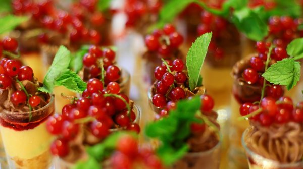 currant-g4ae8f5d99_1920 currant-g4ae8f5d99_1920